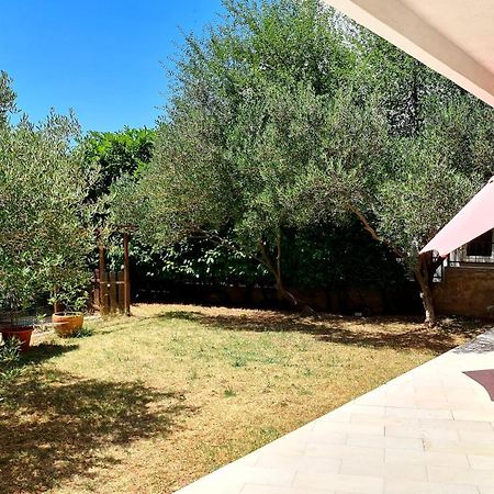 Apartments Adriatic 3 セルツェ 部屋 写真