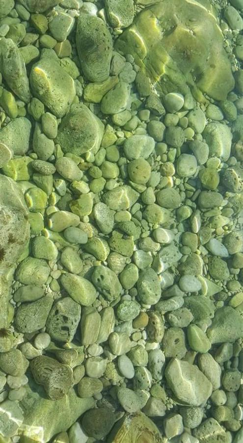 Apartments Adriatic 3 セルツェ エクステリア 写真