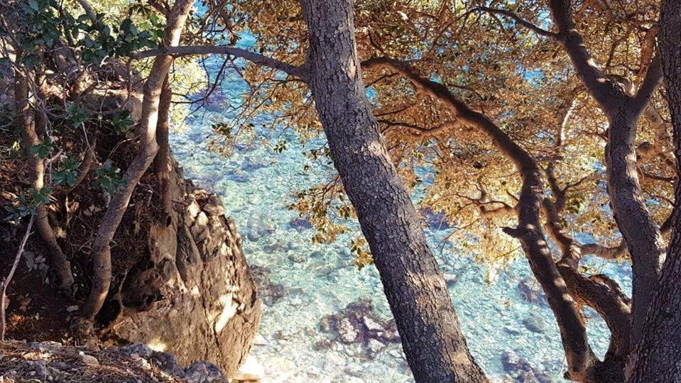 Apartments Adriatic 3 セルツェ エクステリア 写真