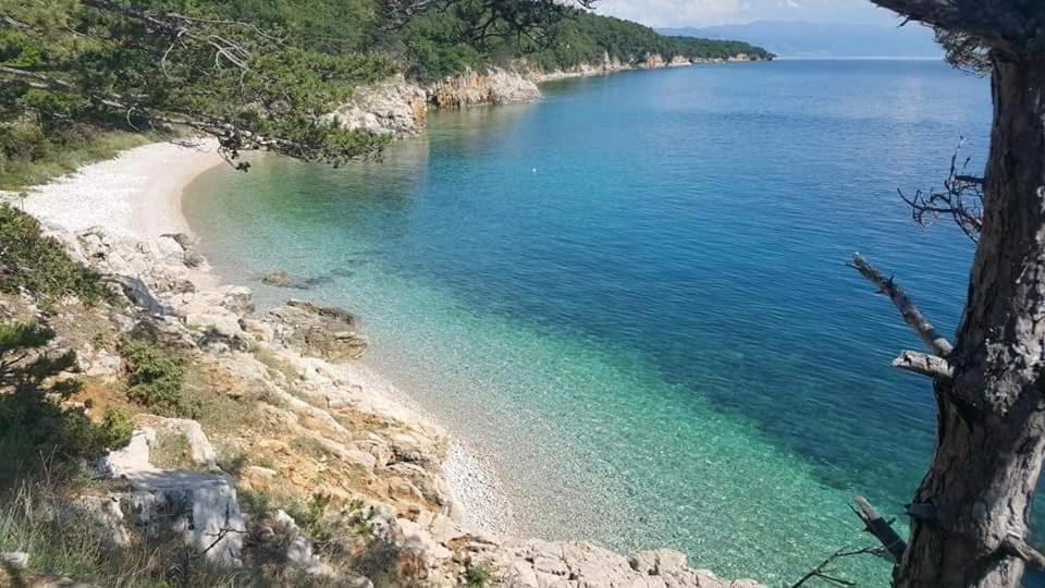 Apartments Adriatic 3 セルツェ エクステリア 写真