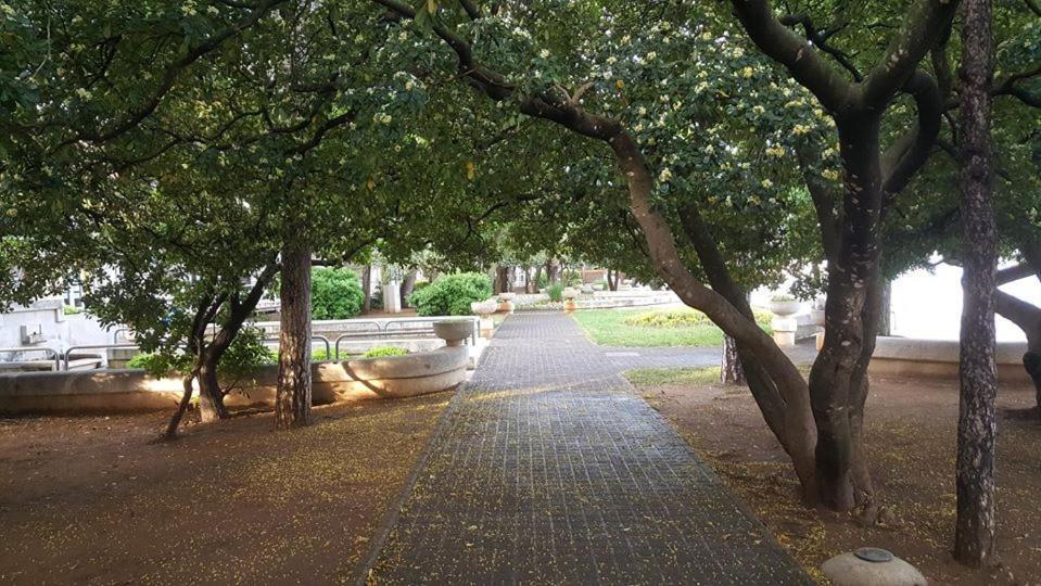 Apartments Adriatic 3 セルツェ エクステリア 写真