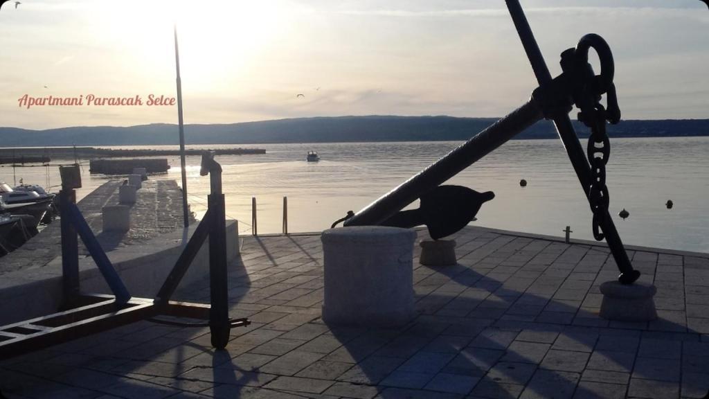 Apartments Adriatic 3 セルツェ エクステリア 写真