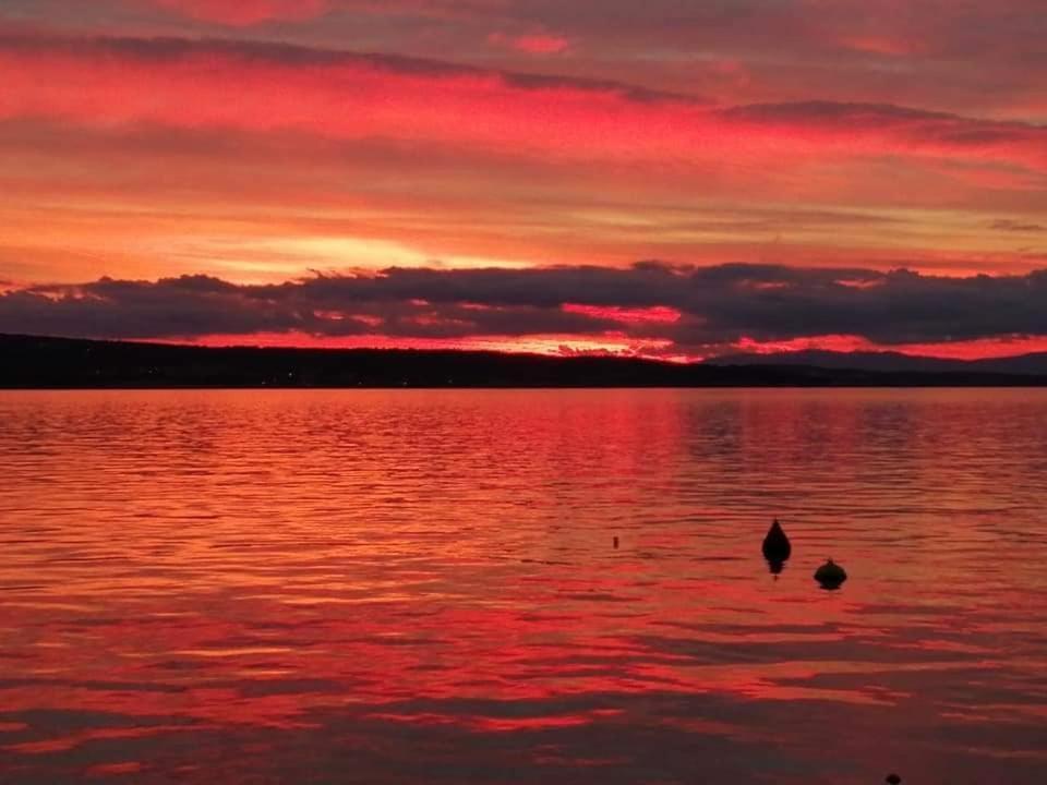 Apartments Adriatic 3 セルツェ エクステリア 写真