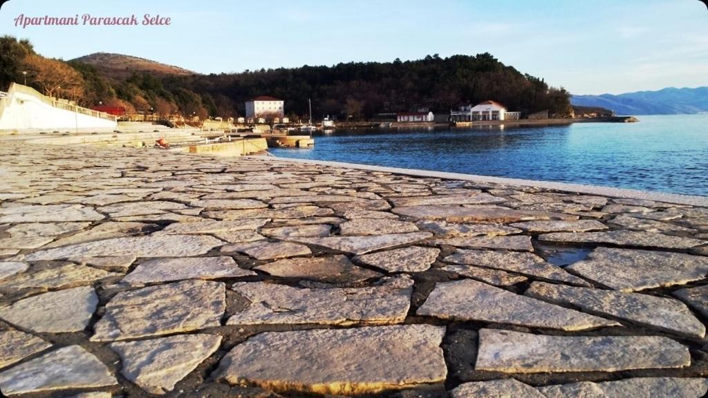 Apartments Adriatic 3 セルツェ エクステリア 写真